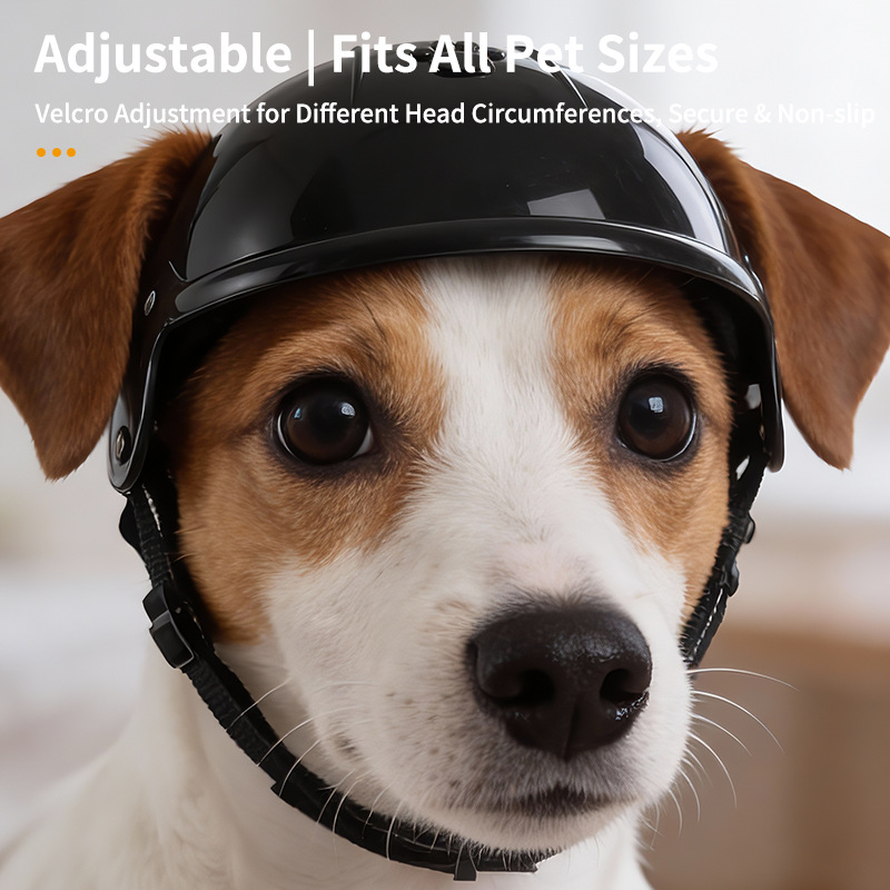 Motorcycle Helmets - Casco da Moto per Animali Domestici,