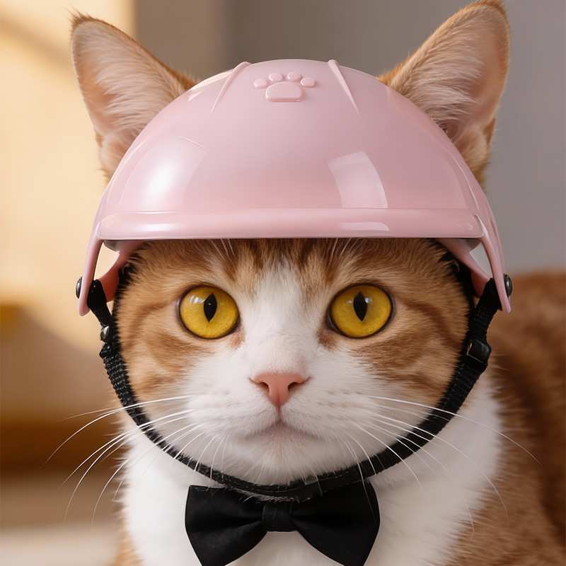 Casco da Moto per Animali Dome - Motorcycle Helmets recensione e prezzo