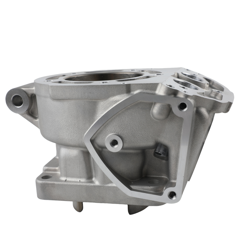 Cilindro Ceramico per Moto Alt - Motorcycle Parts recensione e prezzo